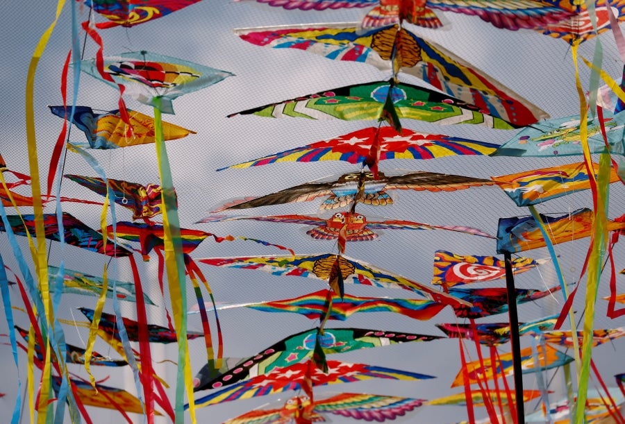 Fotos: Vuelo de las cometas