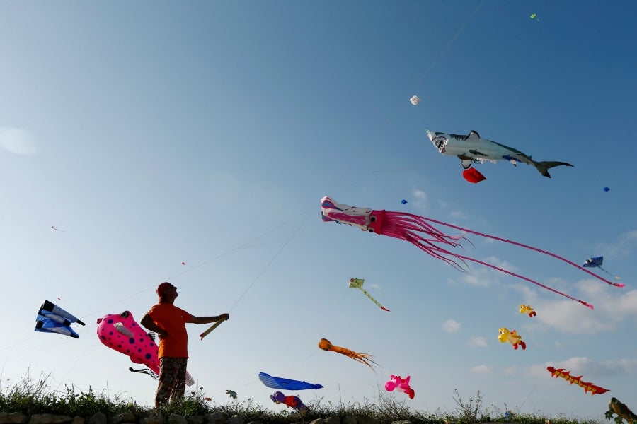 Fotos: Vuelo de las cometas