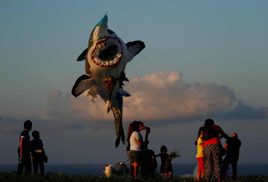 Fotos: Vuelo de las cometas