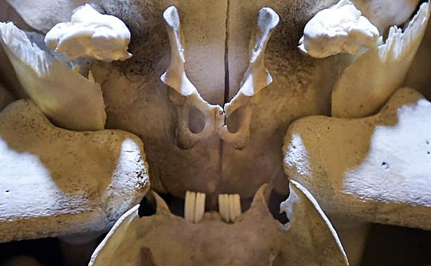 Homenaje a HR Giger, autor de la estética de 'Alien', en la muestra 'Creators of Legends'