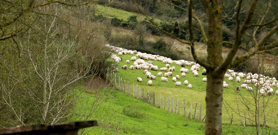Fotos: «En Aralar se está mucho mejor»
