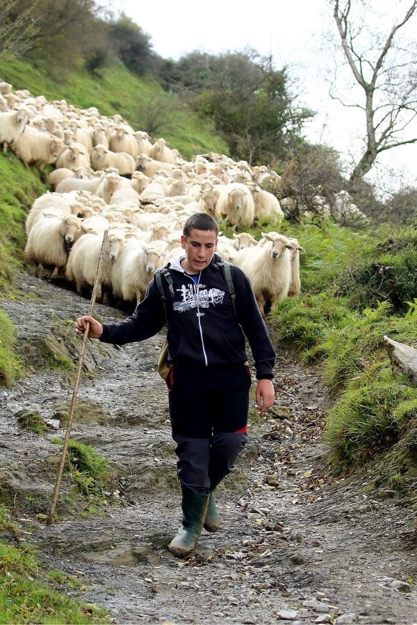 Fotos: «En Aralar se está mucho mejor»