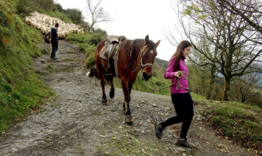 Fotos: «En Aralar se está mucho mejor»
