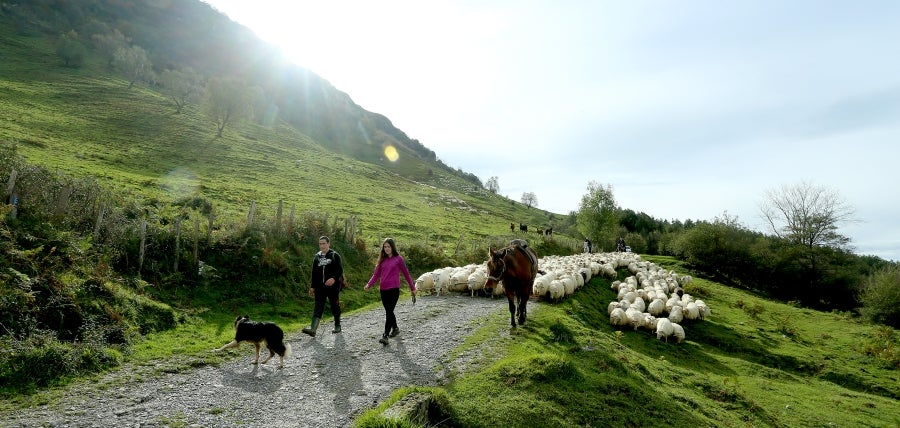 Fotos: «En Aralar se está mucho mejor»