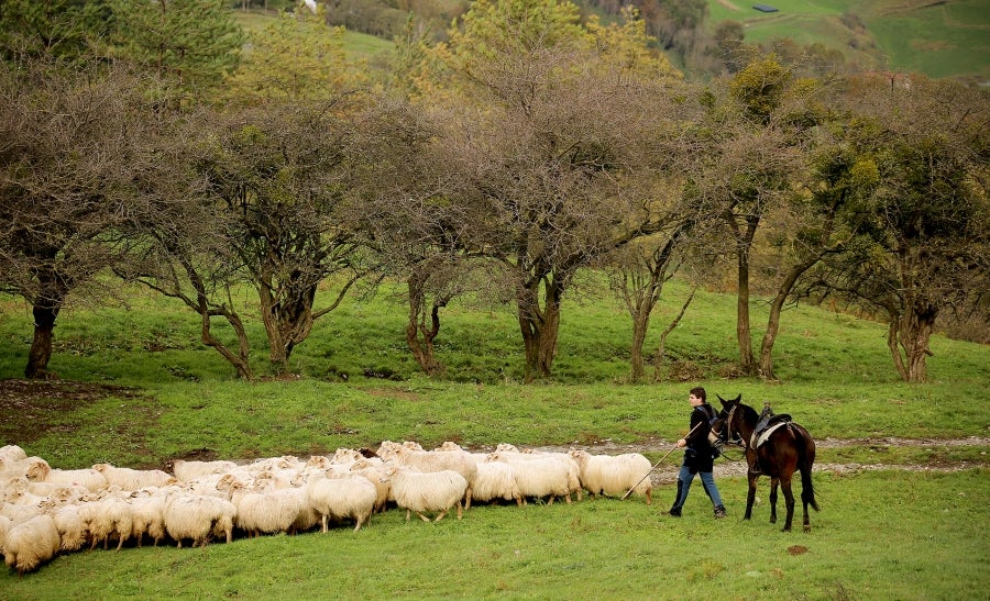 Fotos: «En Aralar se está mucho mejor»