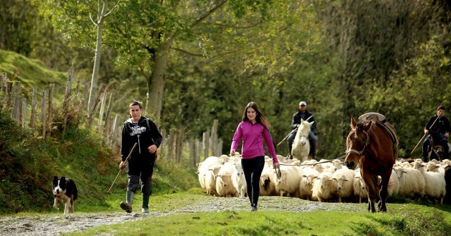 Fotos: «En Aralar se está mucho mejor»