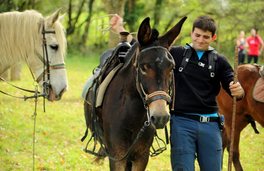 Fotos: «En Aralar se está mucho mejor»