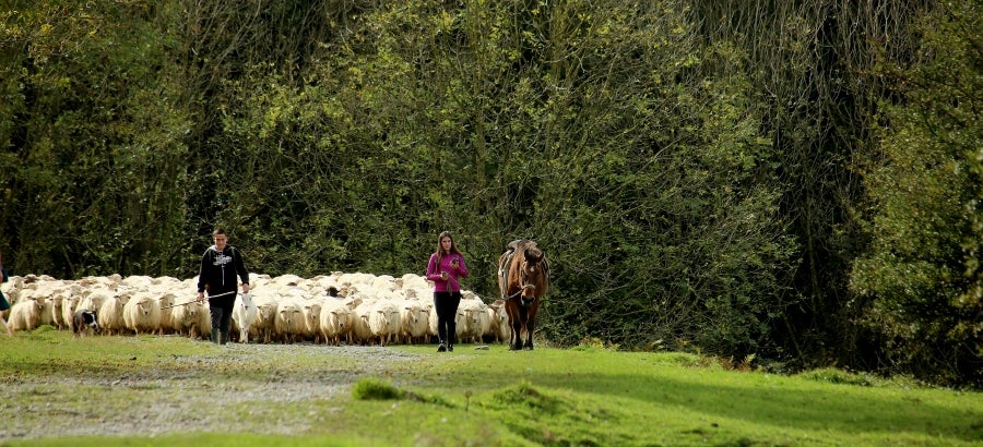 Fotos: «En Aralar se está mucho mejor»