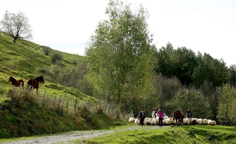 Fotos: «En Aralar se está mucho mejor»