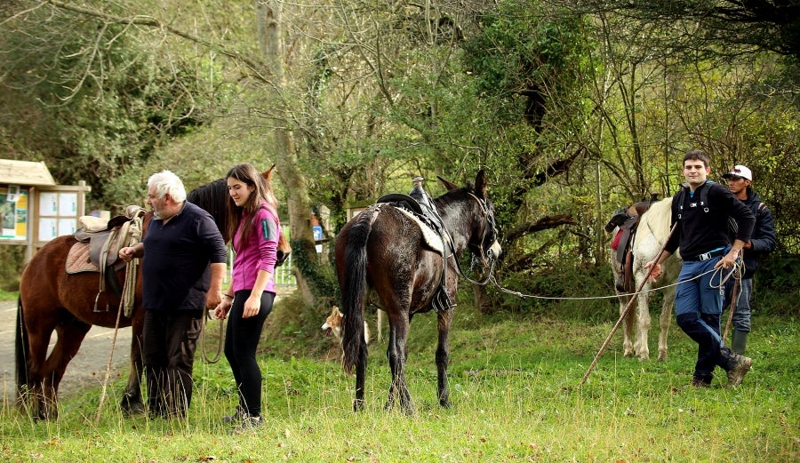 Fotos: «En Aralar se está mucho mejor»