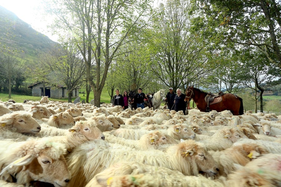 Fotos: «En Aralar se está mucho mejor»