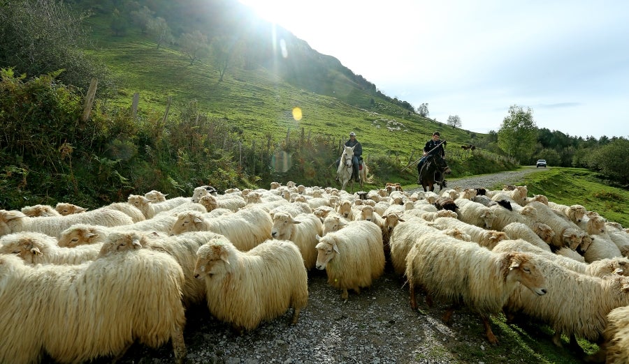 Fotos: «En Aralar se está mucho mejor»