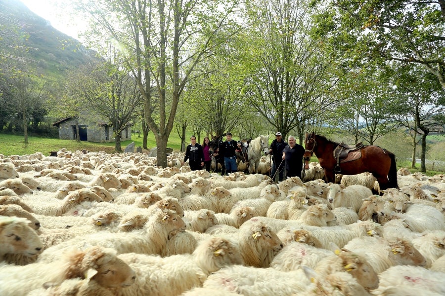 Fotos: «En Aralar se está mucho mejor»