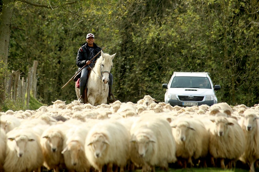 Fotos: «En Aralar se está mucho mejor»