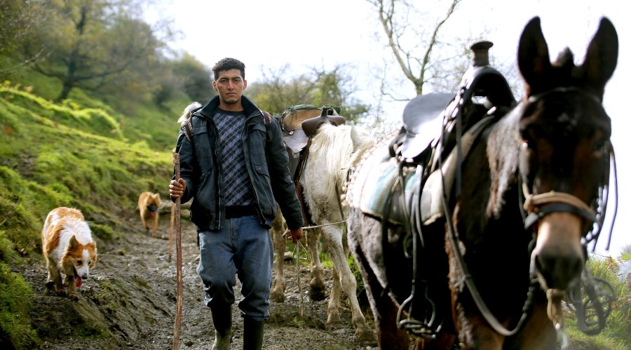 Fotos: «En Aralar se está mucho mejor»