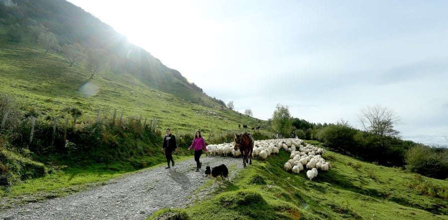 Fotos: «En Aralar se está mucho mejor»