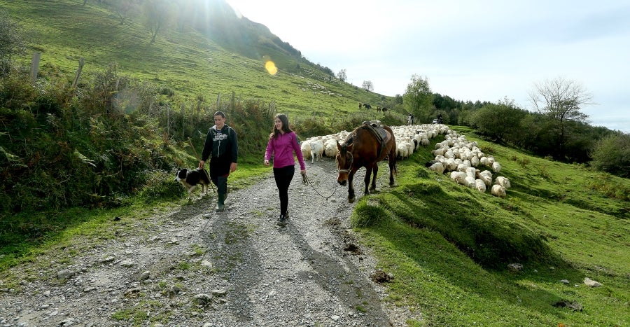 Fotos: «En Aralar se está mucho mejor»