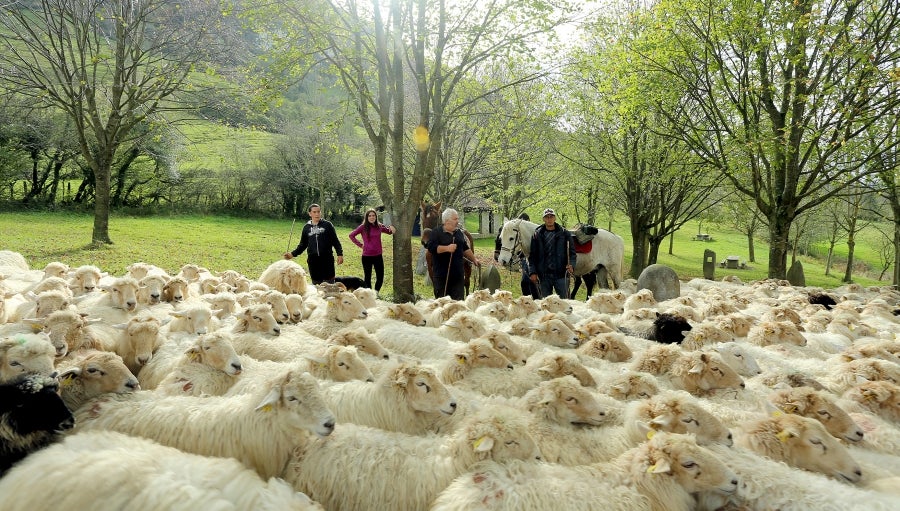 Fotos: «En Aralar se está mucho mejor»