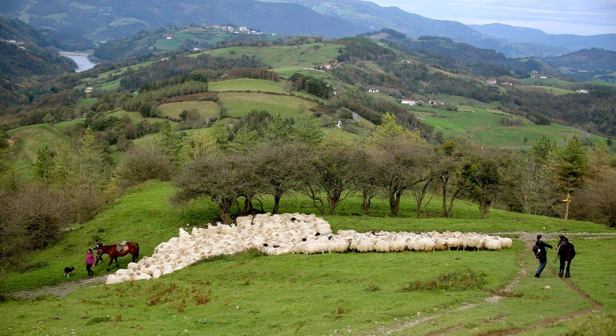 Fotos: «En Aralar se está mucho mejor»