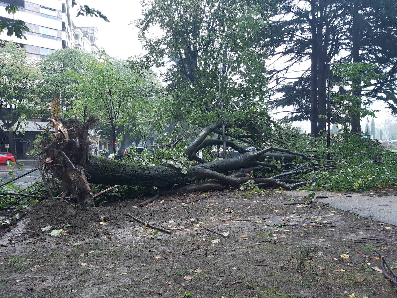 Fotos: El temporal de viento y olas deja numerosas incidencias en Gipuzkoa