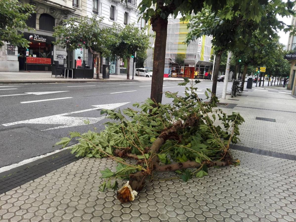 Fotos: El temporal de viento y olas deja numerosas incidencias en Gipuzkoa