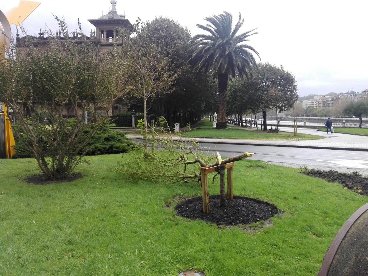 Fotos: El temporal de viento y olas deja numerosas incidencias en Gipuzkoa