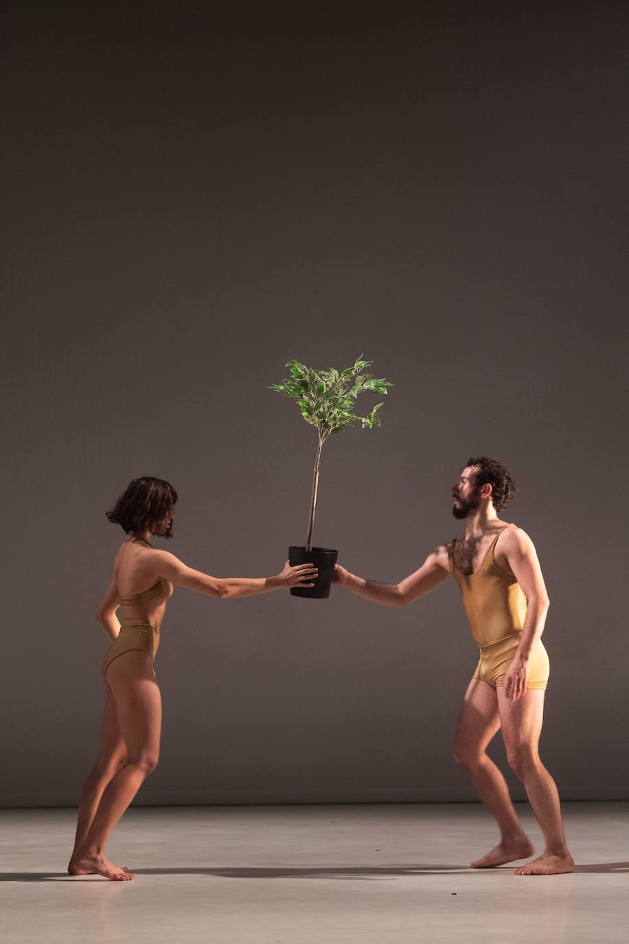 Fotos: Danza en Budapest