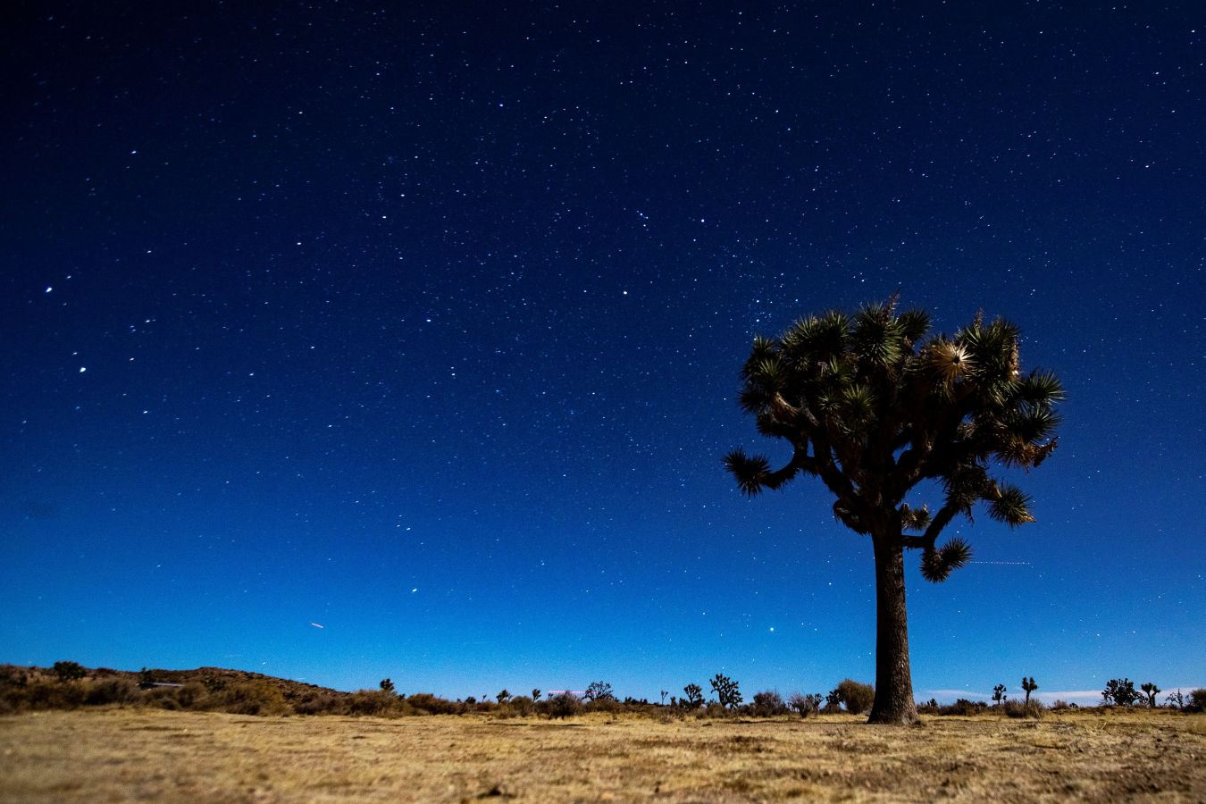 La luna ilumina la capa de roca formada en este parque que se trata de un lugar ídilico por las noches para sacar fotografías en Twentynine Palms (California). 