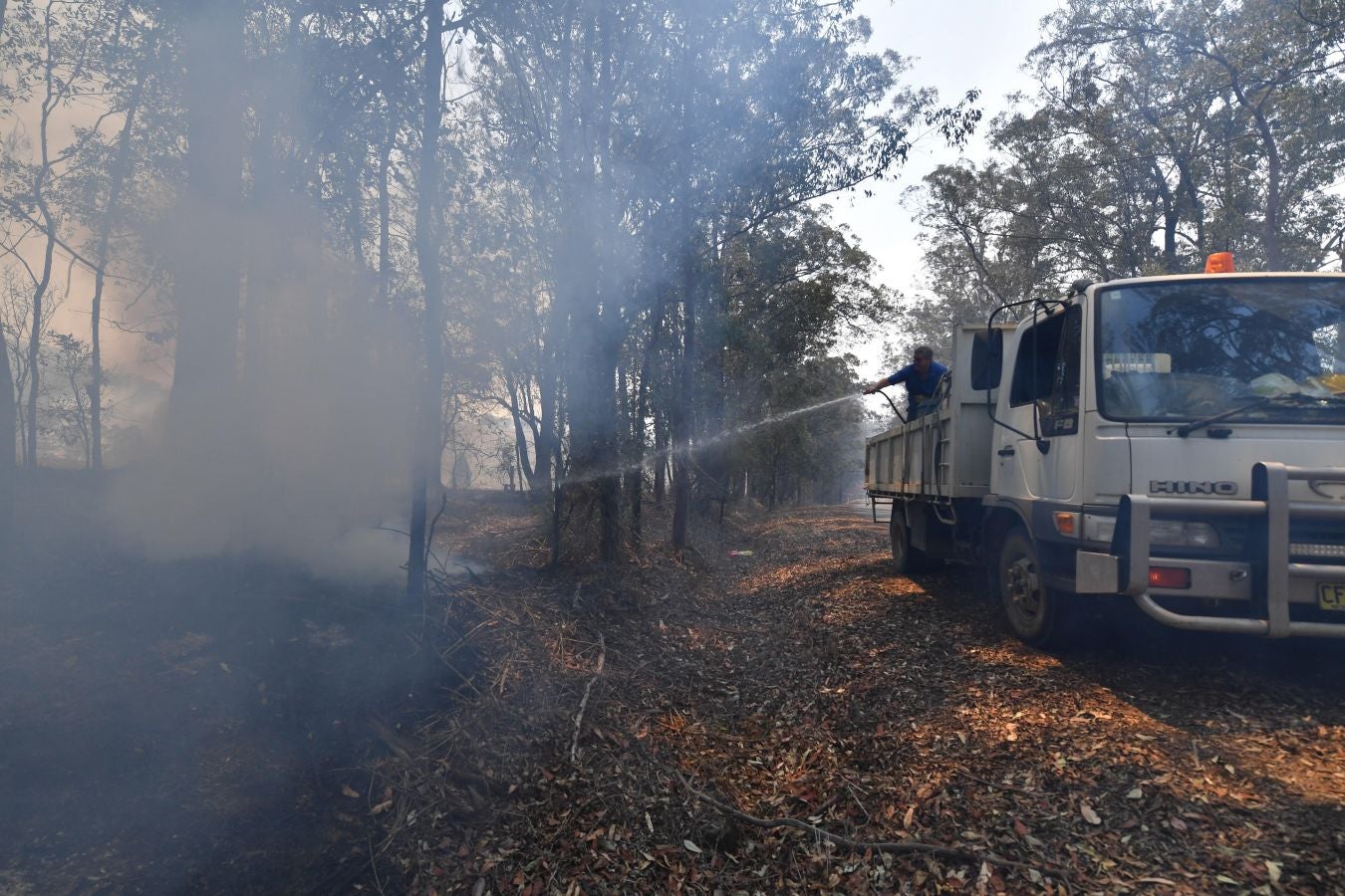 Fotos: Australia, devorada por las llamas