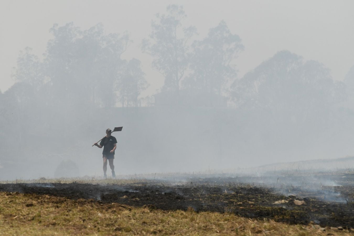 Fotos: Australia, devorada por las llamas