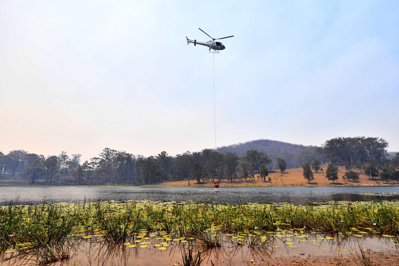Fotos: Australia, devorada por las llamas