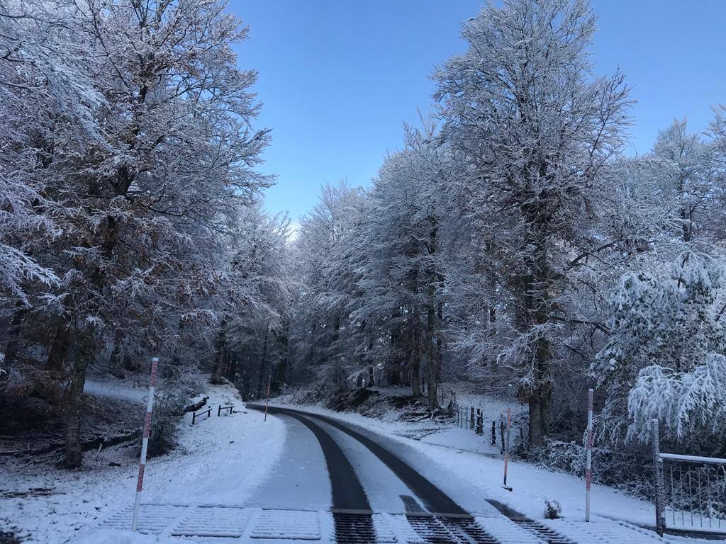 Fotos: Aralar, cubierta de blanco