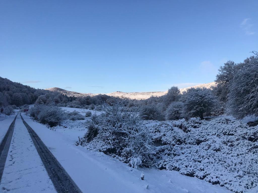 Fotos: Aralar, cubierta de blanco