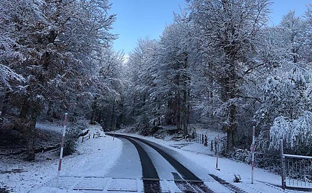 Imagen. Nieve en Aralar