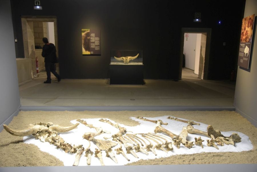 Fotos: Los hallazgos del yacimiento de Kiputz, en San Telmo