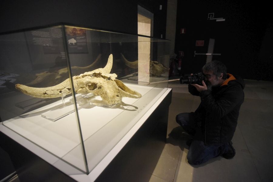 Fotos: Los hallazgos del yacimiento de Kiputz, en San Telmo