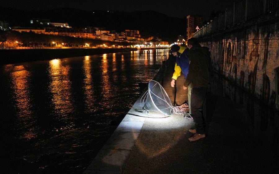 Fotos: Arranca la temporada de Angulas