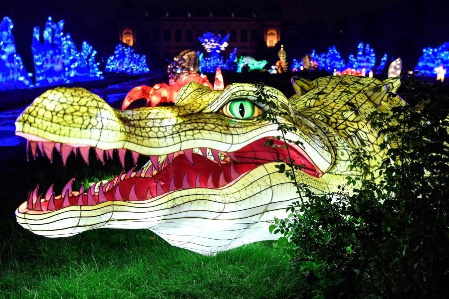 Fotos: Animales, luz y color