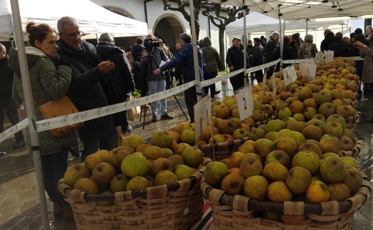 Denera hamahiru ekoizle lehiatu ziren errezil sagar onenaren saria nork jasoko. 