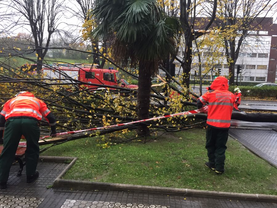 El viento ha provocado numerosos daños materiales en Gipuzkoa, especialmente en Donostia, con árboles y andamios caídos por toda la ciudad.