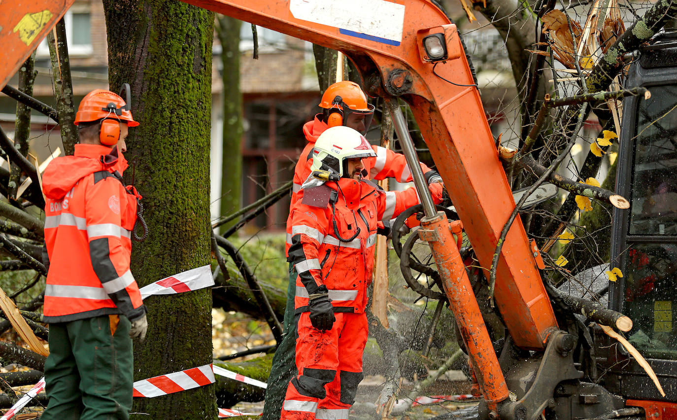 El viento ha provocado numerosos daños materiales en Gipuzkoa, especialmente en Donostia, con árboles y andamios caídos por toda la ciudad.