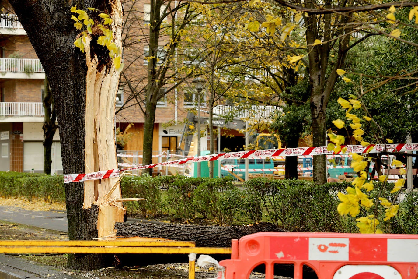 El viento ha provocado numerosos daños materiales en Gipuzkoa, especialmente en Donostia, con árboles y andamios caídos por toda la ciudad.