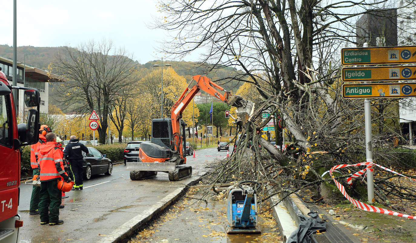 El viento ha provocado numerosos daños materiales en Gipuzkoa, especialmente en Donostia, con árboles y andamios caídos por toda la ciudad.