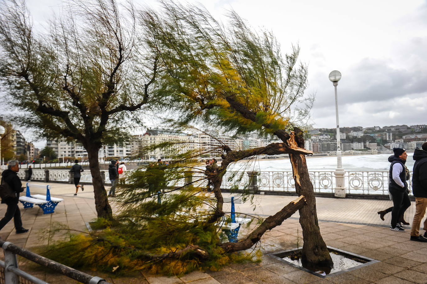 El viento ha provocado numerosos daños materiales en Gipuzkoa, especialmente en Donostia, con árboles y andamios caídos por toda la ciudad.