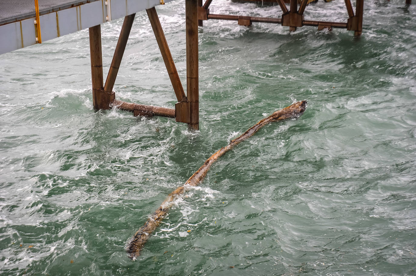 El viento ha provocado numerosos daños materiales en Gipuzkoa, especialmente en Donostia, con árboles y andamios caídos por toda la ciudad.