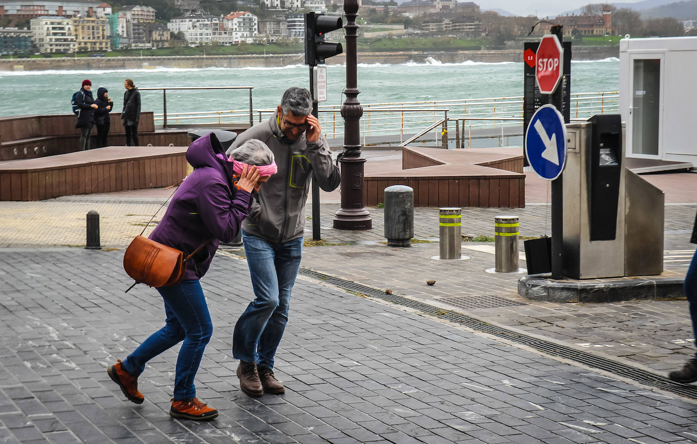El viento ha provocado numerosos daños materiales en Gipuzkoa, especialmente en Donostia, con árboles y andamios caídos por toda la ciudad.