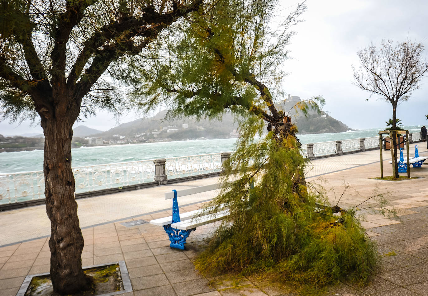 El viento ha provocado numerosos daños materiales en Gipuzkoa, especialmente en Donostia, con árboles y andamios caídos por toda la ciudad.