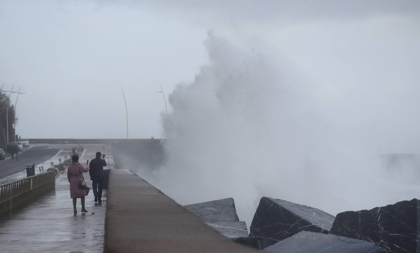 El viento ha provocado numerosos daños materiales en Gipuzkoa, especialmente en Donostia, con árboles y andamios caídos por toda la ciudad.