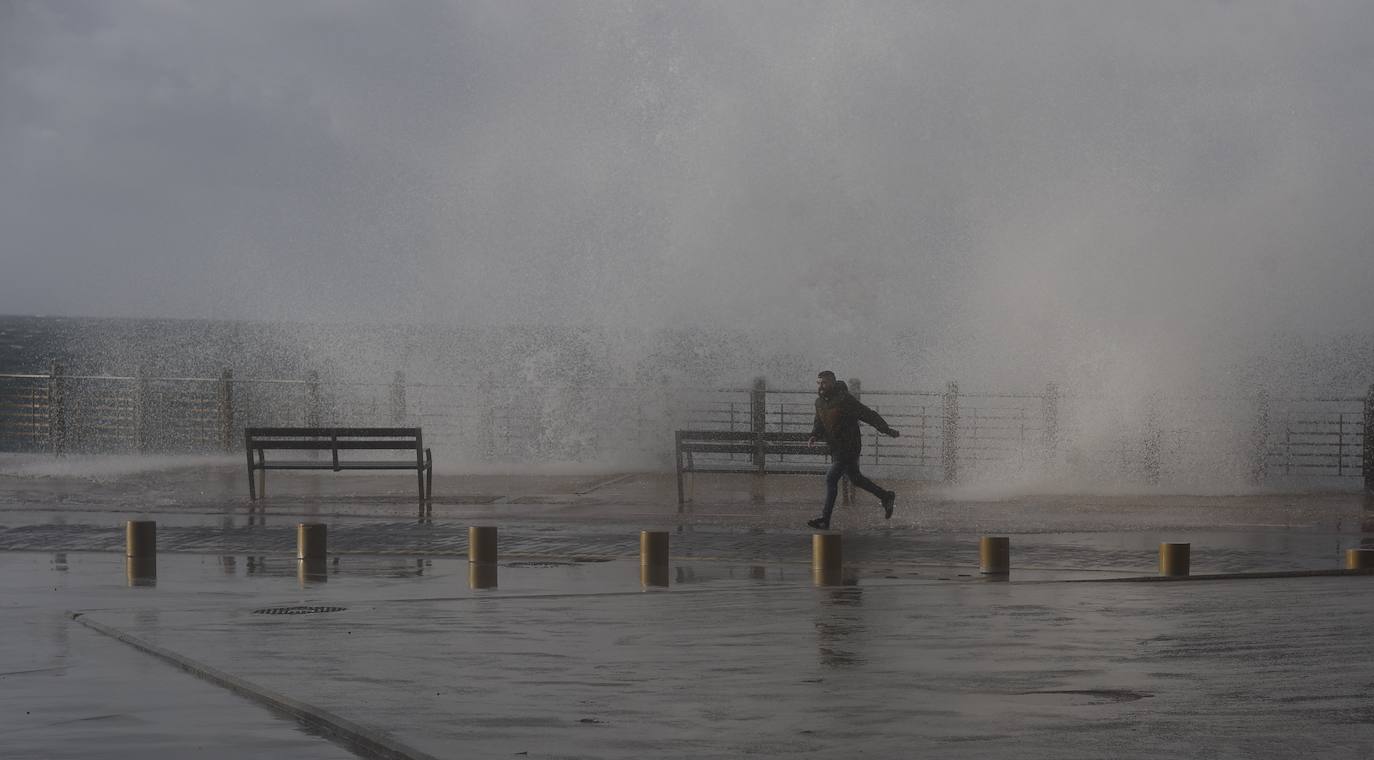 El viento ha provocado numerosos daños materiales en Gipuzkoa, especialmente en Donostia, con árboles y andamios caídos por toda la ciudad.