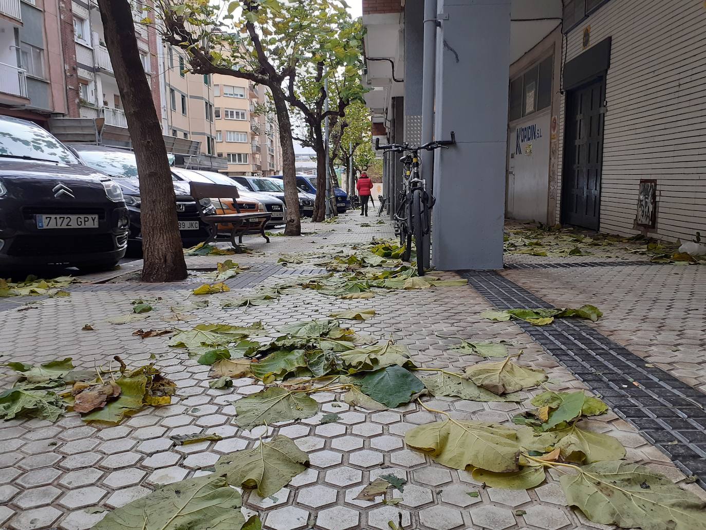 El viento ha provocado numerosos daños materiales en Gipuzkoa, especialmente en Donostia, con árboles y andamios caídos por toda la ciudad.